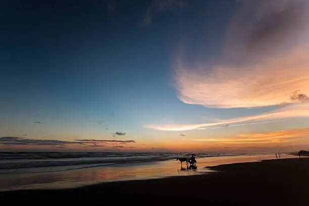 Menjelajahi Pesona Pantai Parangtritis