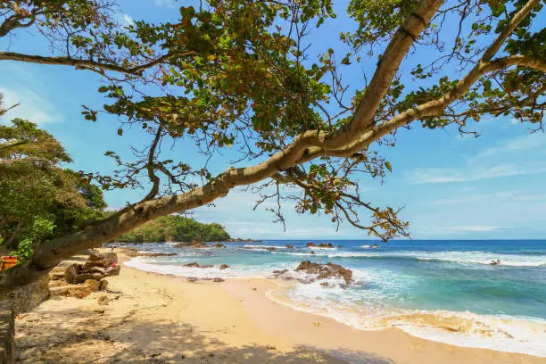 gambar foto pantai wediombo